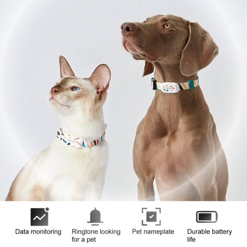 Smart Pet Collar